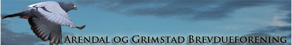Arendal & Grimstad Brevdueforening